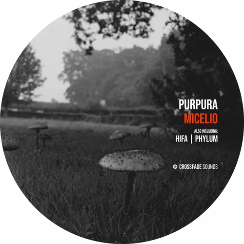 Púrpura - Micelio [CS090]